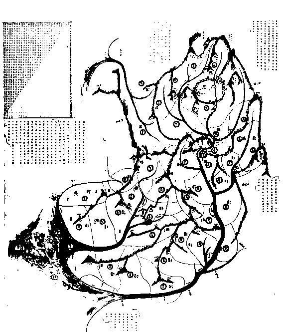 dc208-6966456227679-f315fc6e711d1332ee687da6c18d56624b98d7ff.jpg