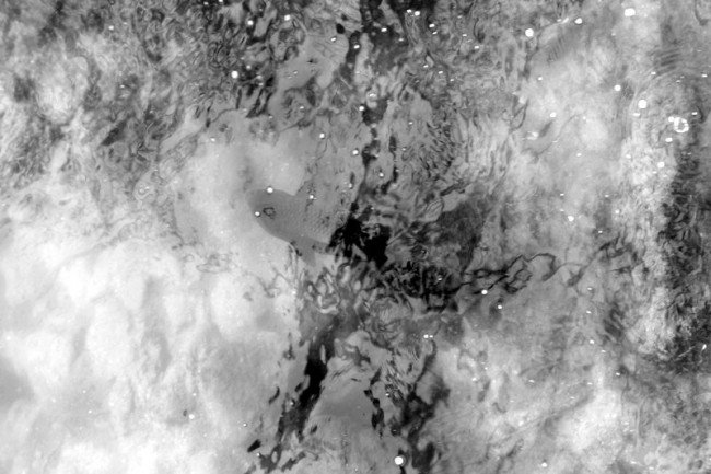 1919694234_695b83a79386b_1919694234_O6vZQzn7_443ade1afa3832b606c68cae6795a3c9c78125f8.jpg