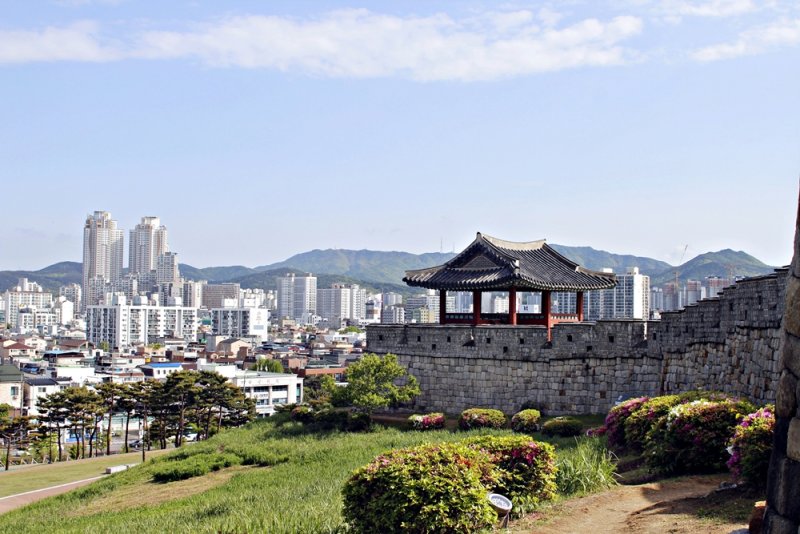 싸우는 자와 도피하는 자, 전장의 선 인류