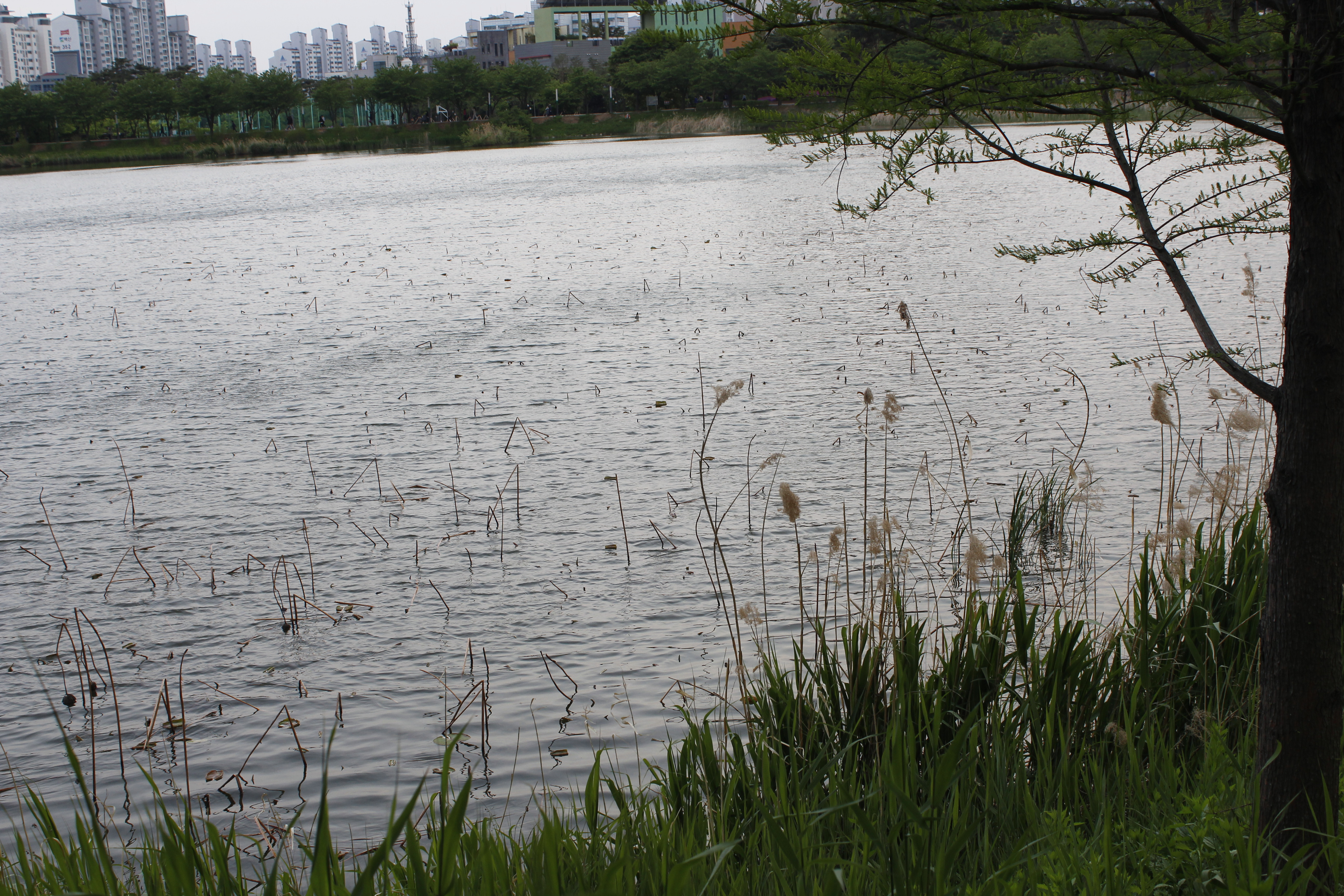 만석공원 (만석거)